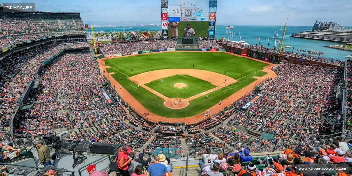 为什么选择我们